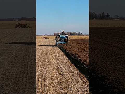 Ford 8000 plowing at the DuVall plow day 2023