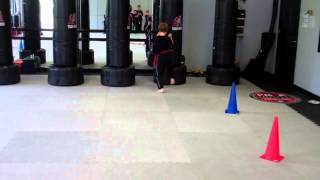 preview picture of video 'Tiger Rock Martial Arts - Tuscaloosa/Northport, AL - Junior Agility Training'