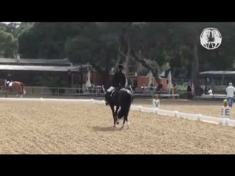 Tzortzaki Kyveli - Hignhessy Newland - A3