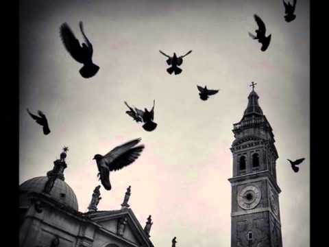 I Can't Stop What's Coming - Amy Lee (Lyric Video)