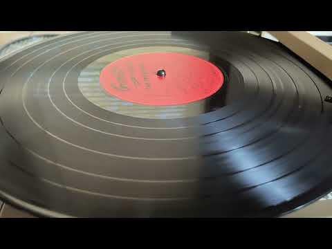 the trashmen lp surfin bird (Garrett records)