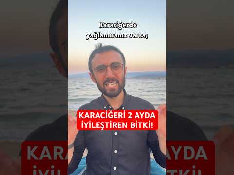 Karaciğer Yağlanmasını Bitiren Deve Dikeni Bitkisi Nasıl Kullanılr