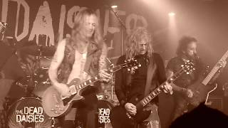 THE DEAD DAISIES -  Dead and Gone (Live in Belfast)