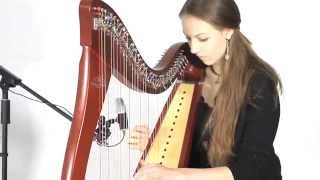 Llef Harlech (harp&viola)