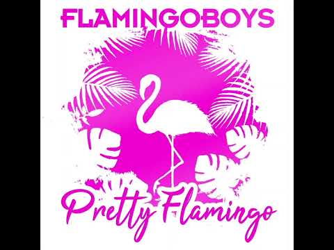 Flamingoboys - Hitmix