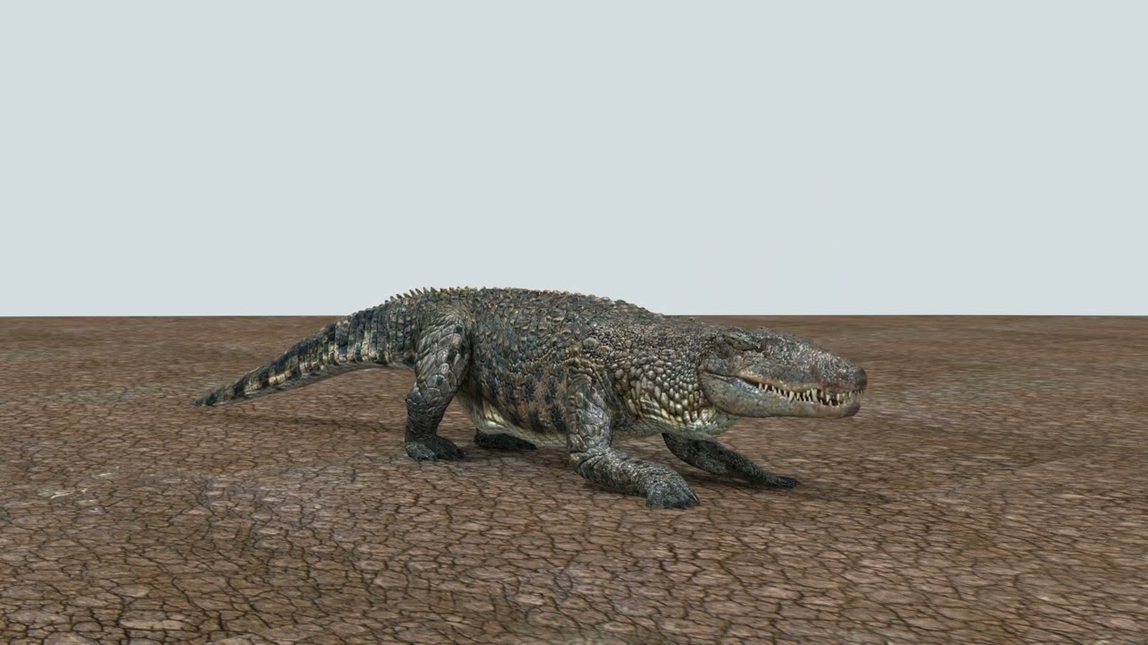Postosuchus Barinasuchus Fasolasuchus HD - animato in 3D Modello 3D