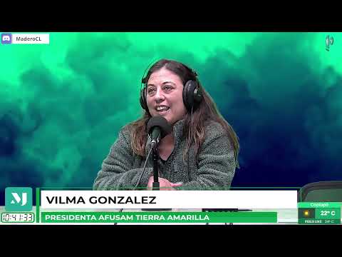 MADERO EN CASA ATACAMA | ENTREVISTA A VILMA GONZALEZ PRESIDENTA AFUSAM TIERRA AMARILLA