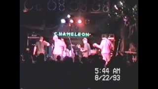 No One's Hero Chameleon