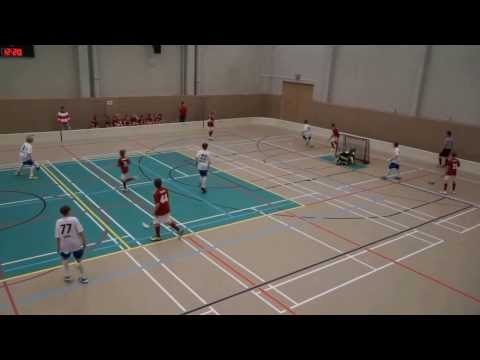 NST D1 Valkoiset vs Voima Blues 8.2.2014