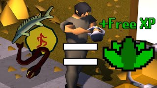 How to get Free Herblore XP | OSRS