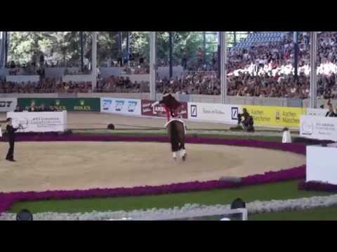 Torben Jacobs Pia Engelberty Pas de Deux 2015 European Championships