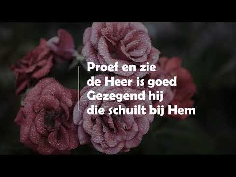 Opwekking met tekst 838 Proef en zie (versie 2)