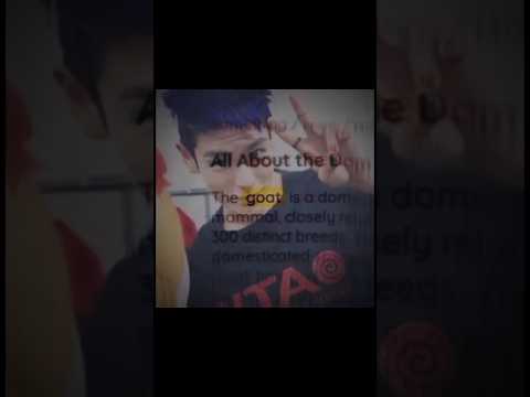 Goats for a reason ❤️💪🔥🍷 #shorts #thanos #ronaldo #edit #capcut #atsar #funny #goat #goats #fyp