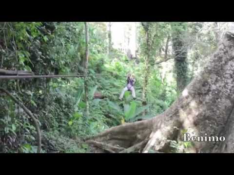 Пхукет - полет гиббона- Экскурсии о.Пхукет HD 