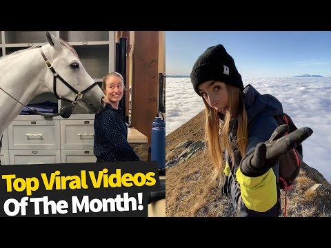 Top 50 Best Viral Videos Of The Month - March 2020