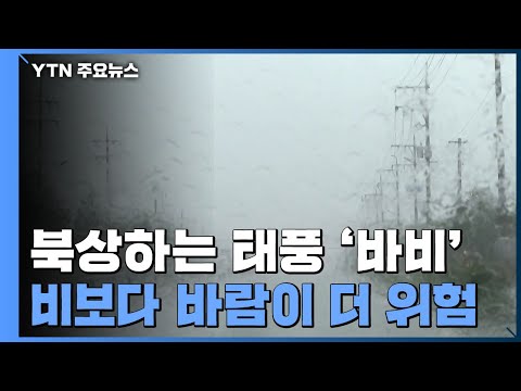 아이콘