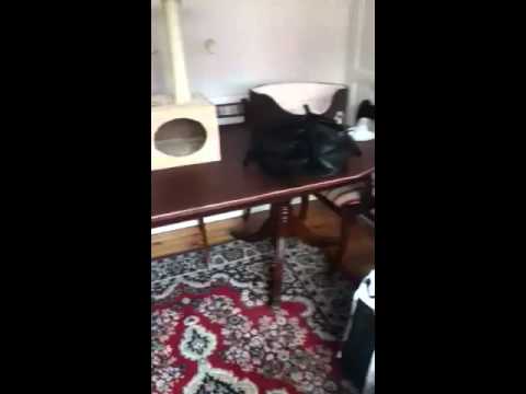 Everything is ready for saothai and Jaydee