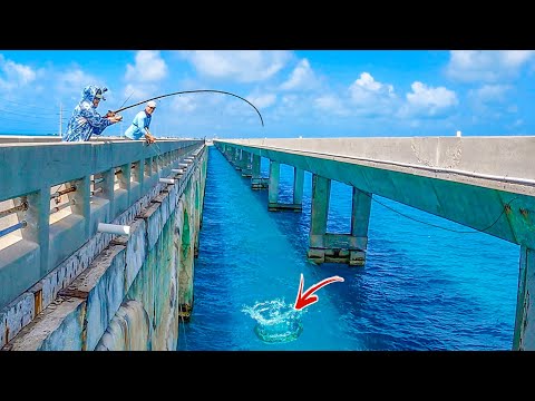 BEST Fishing Spot In The World? **Florida Keys Bridge Fishing**