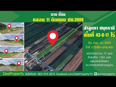 🌿 ขายที่ดินติดถนน คลอง 11 ลำลูกกา ตรงข้ามบ้านเพื่อนคาเฟ่! ใกล้ถนน รังสิต-นครนายก กำไรตั้งแต่ซื้อ🌿 – รูปที่ 2