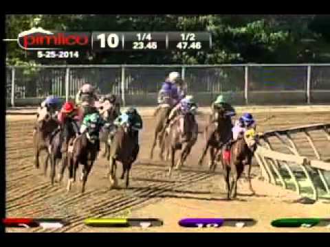 Pimlico 05/25/14 race 10