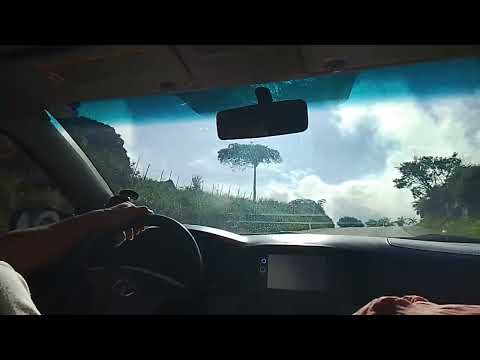 Viagem em Pernambuco. Estrada de são Benedito do Sul 