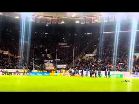 Darmstadt 98 | Impressionen vom Auswärtssieg gegen die TSG Hoffenheim