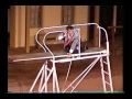 Don Otto The Diving Fool