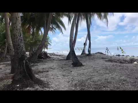 A Journey into Tropical Paradise Maldives#trending #nature #beautiful #tourism #මාලදිවයින