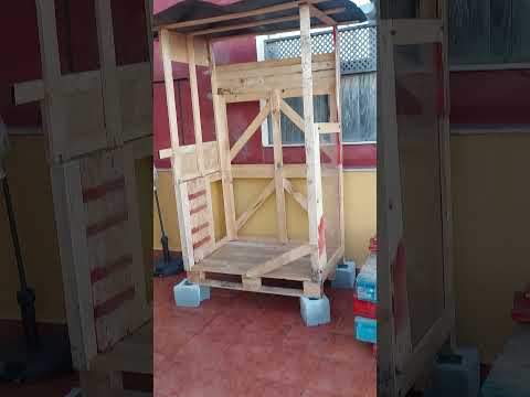 jilguero 2022 saludando a la peña y enseñando algo nuevo en el aviario vamos palante m gente fuerte💪