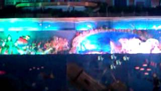 preview picture of video '( PASIG CITY ) CHRISTMAS ANIMATED DISPLAY SHOW 2014'