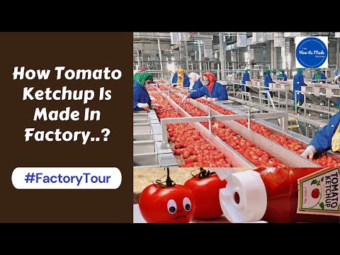 Tomato Ketchup Processing Plant