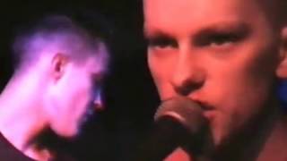 McCarthy   Lille   Frans Hals