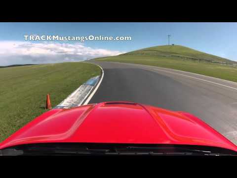 TRACKMustangsOnline @ Thunderhill Raceway