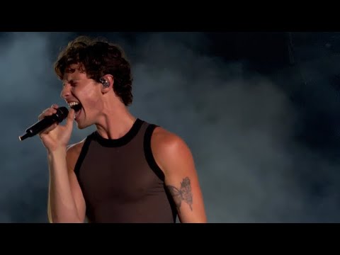 Shawn Mendes - Sunny Hill Festival 2025: Full Performance [4K]