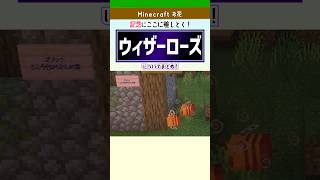 【マイクラ】ウィザーローズの入手方法と使い道まとめ