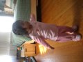 Melanie Dancing To Omega