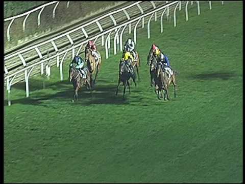 Galoppo 07/12/2016 - 6ª corsa