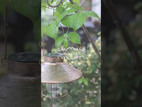 機能的で美しく、耐久性のある雨の庭を作るにはどうすればよいでしょうか?初心者向けの無料ガイド！  庭園