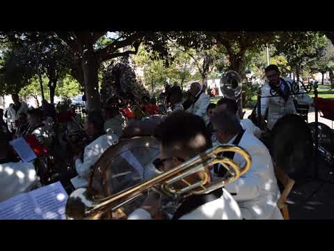 Gran Concerto Bandistico Città di Conversano – ''Wally'' A. Catalani – San Michele 2019 Carbonara