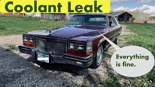The Coolant Leak Wasn't Where I Looked