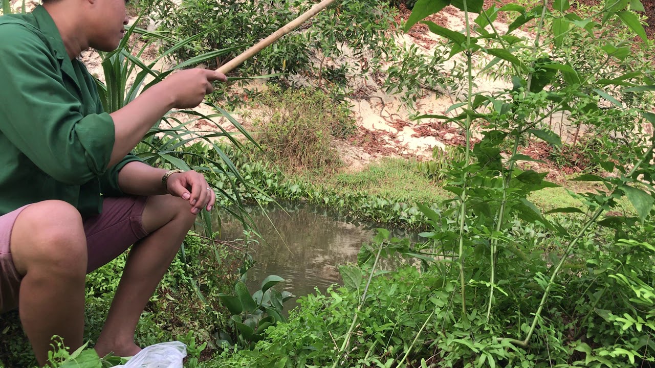 Câu chuyện giờ mới kể - Tuan vlog