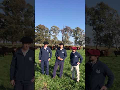 3/8  jornada de campo junto a SIA ⏰ 8:30 hs en📍La Gateada - Diego Lamas, Artigas 🇺🇾