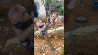 Download lagu You take Xuxu's fruit mp3