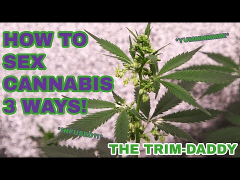 Identifying Your Plants as Male or Female: 3 Methods
