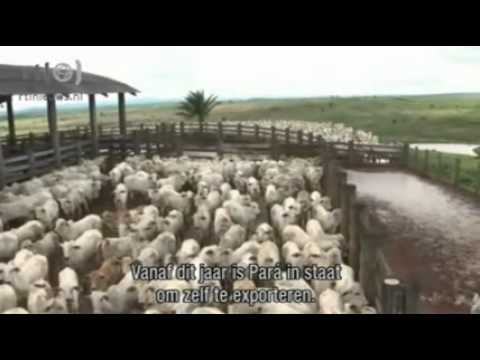 Special  Vernietiging longen van de aarde_xvid.avi