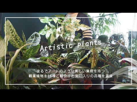 丈夫な草: 最高の種類 トピックス