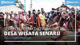 Desa Wisata Senaru di Bawah Gunung Rinjani, Sajikan Keindahan Alam serta Kekayaan Seni dan Budaya