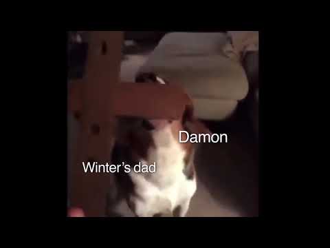 devil’s night as vines except I have the memory of a goldfish