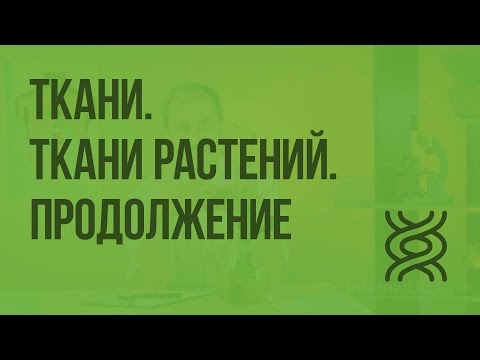 Ткани. Ткани растений. Продолжение. Видеоурок по биологии 5 класс