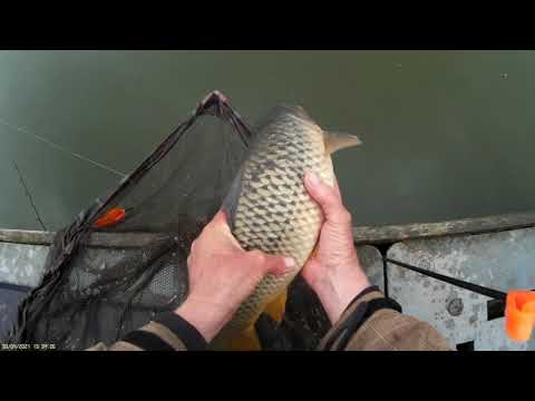 Surface fishing using Korum Surface Bomb Fluoro